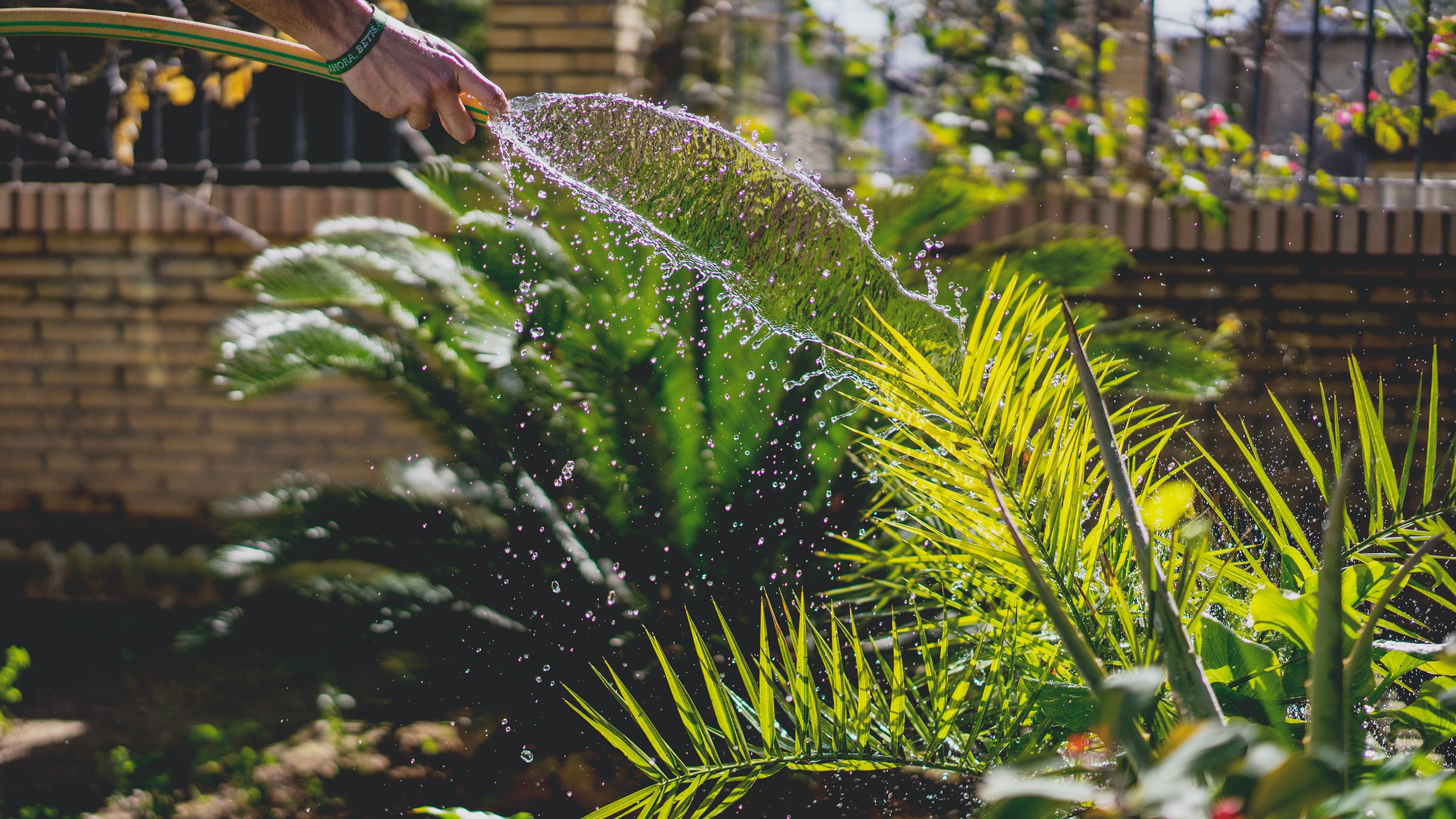 Jetzt schon an den Frühling denken: Gartenplanung für das kommende Jahr