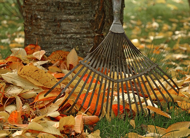 Unsere besten 10 Tipps für den Herbst: Jetzt den Garten winterfest machen