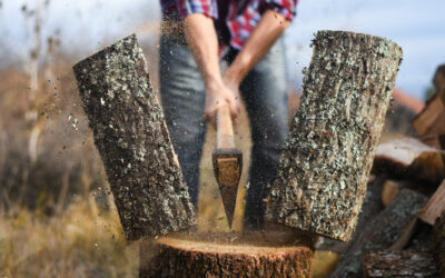 Holz spalten – So geht es richtig