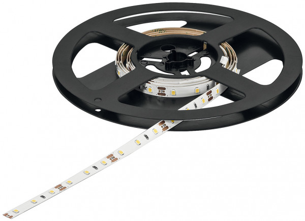 LOOX5 LED-Band 2071 monochrom 12V 8 mm 4,8 W/m 50 Meter